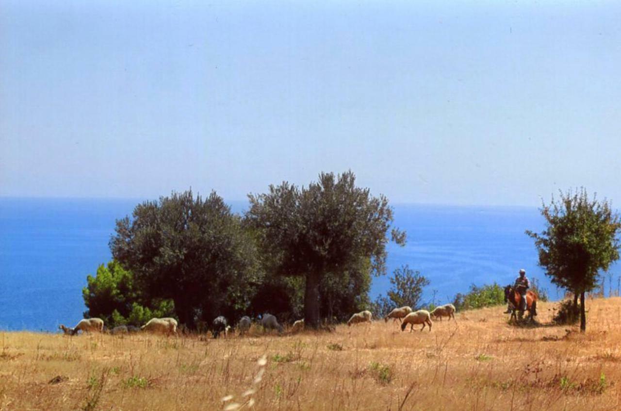 Grassetti Villa Montegiordano Bagian luar foto