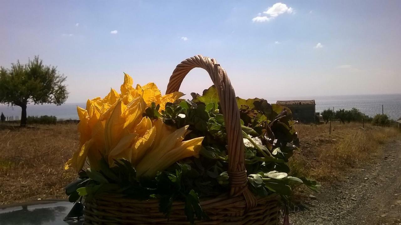 Grassetti Villa Montegiordano Bagian luar foto