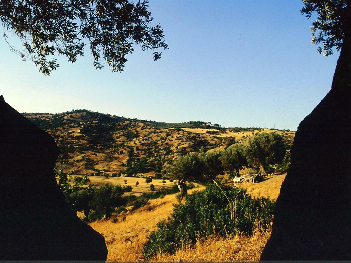 Grassetti Villa Montegiordano Bagian luar foto