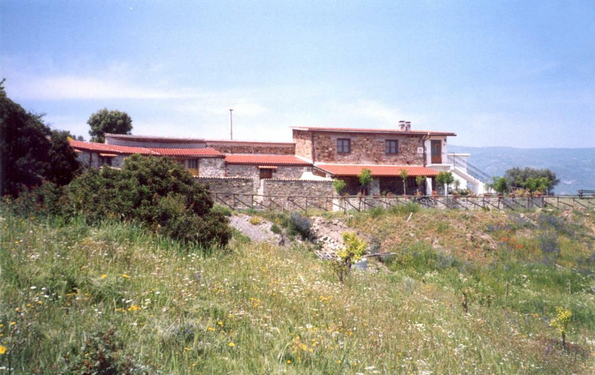 Grassetti Villa Montegiordano Bagian luar foto